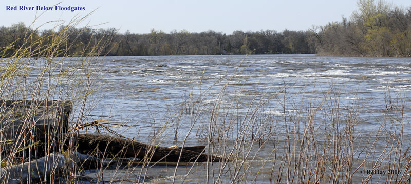 _LAN5593-River-72ppi