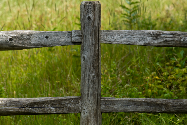 _LAN9922-fence-blog
