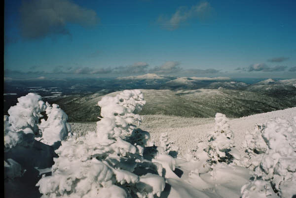 F1000010 Tom's photo form peak