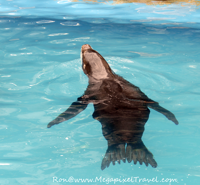 _DBP7710-seal