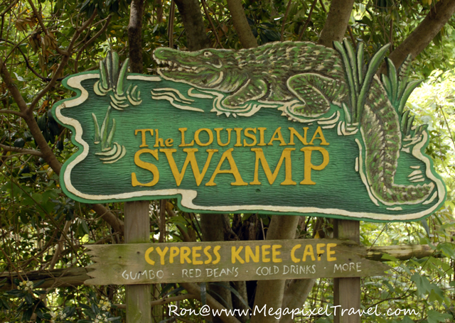 _DBP7751-Cypress-Knee-Cafe