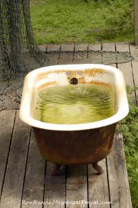 _DBP7753-Bath-tub