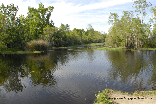 _DBP8655-Barataria-Preserve