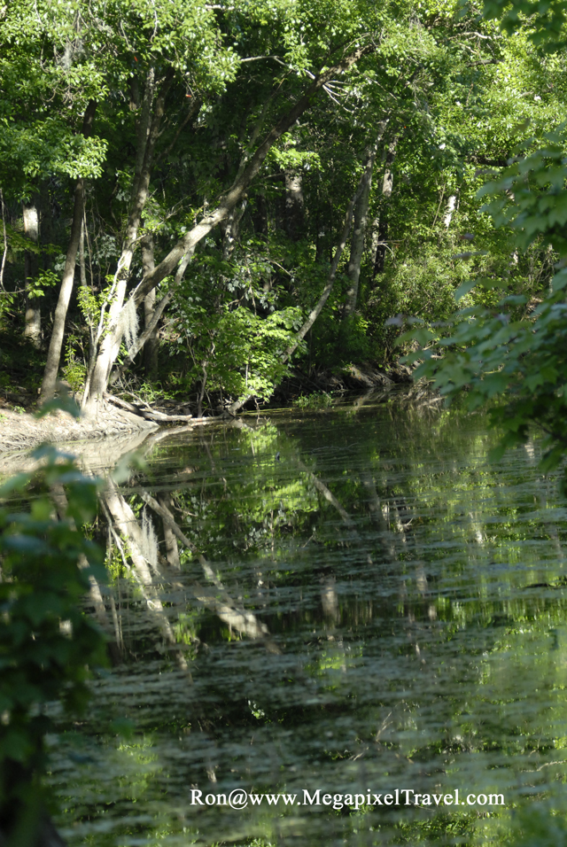 _DBP8658-Barataria-Preserve