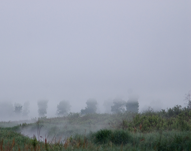 _LAN7718-fog-blog