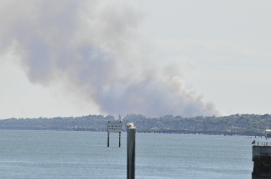 20110128-073832.jpg