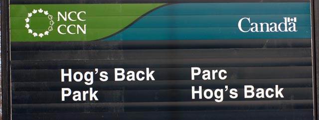 DSC_0024-Hogs-Back-blog