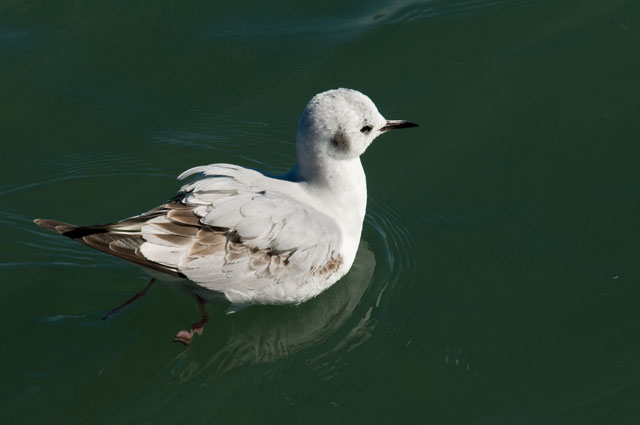 _EMG2703-blog