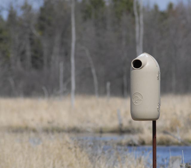 _LAN4898-nest-box-blog