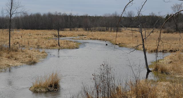 _LAN4904-River-blog
