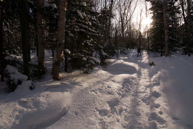 _LND6752-blog