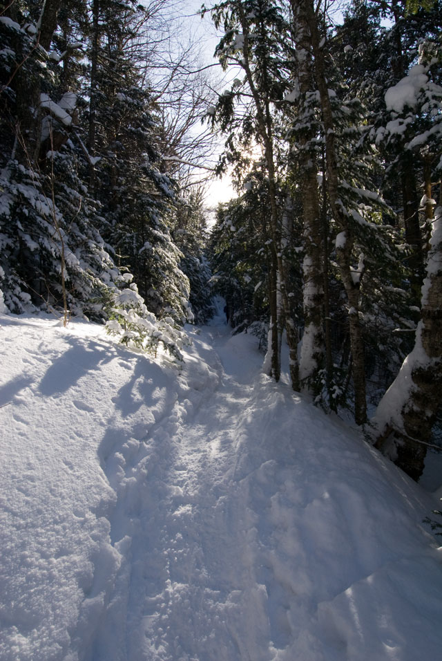 _LND6754-trail-blog