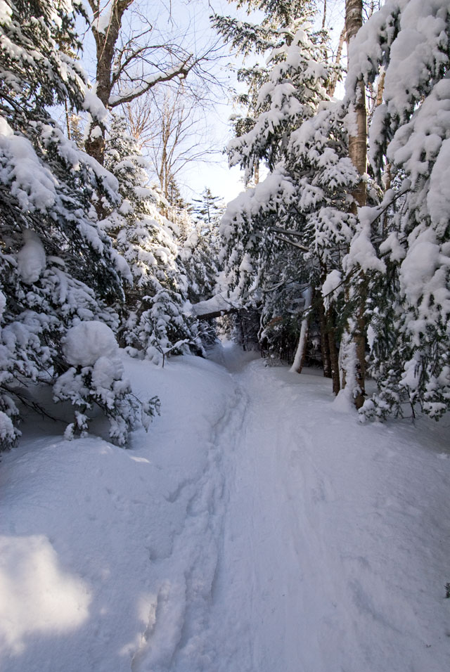 _LND6755-trail-blog