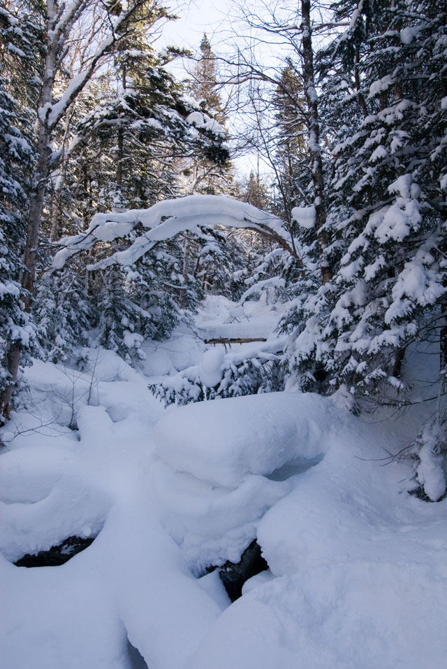 _LND6756-trail-blog