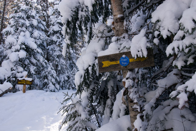 _LND6757-trail-blog