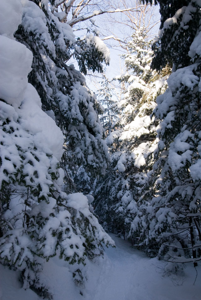 _LND6759-trail-blog
