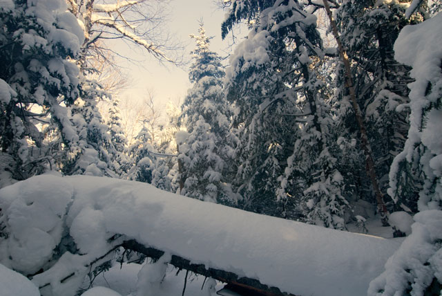_LND6760-snow-blog