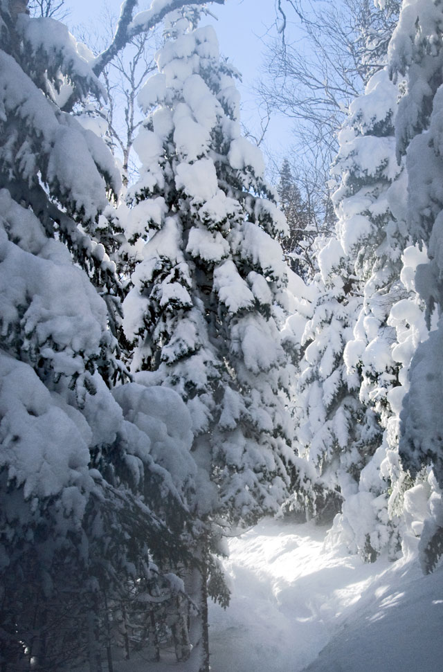 _LND6764-trail-blog