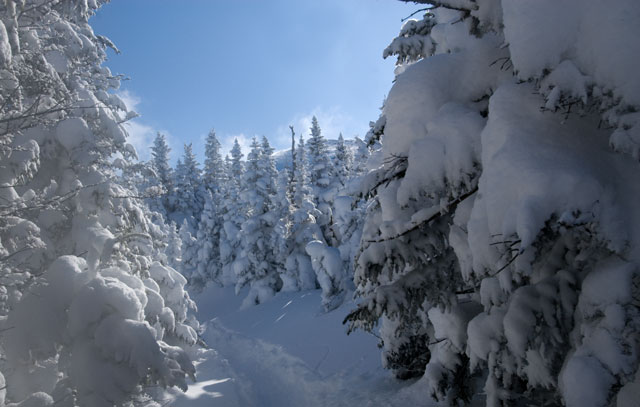 _LND6769-snow-blog