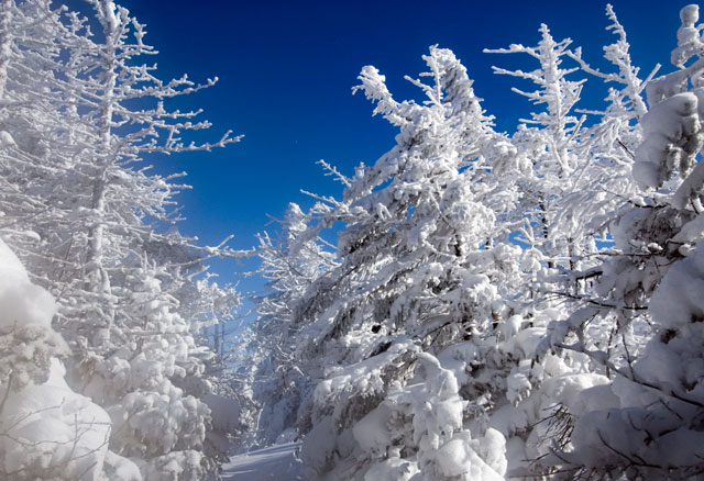 _LND6770-snow-blog