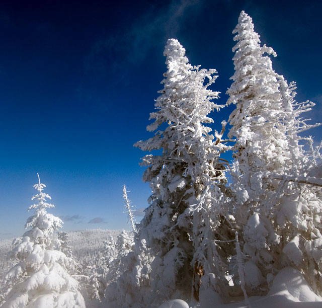 _LND6771-snow-blog