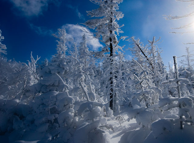 _LND6773-trail-blog