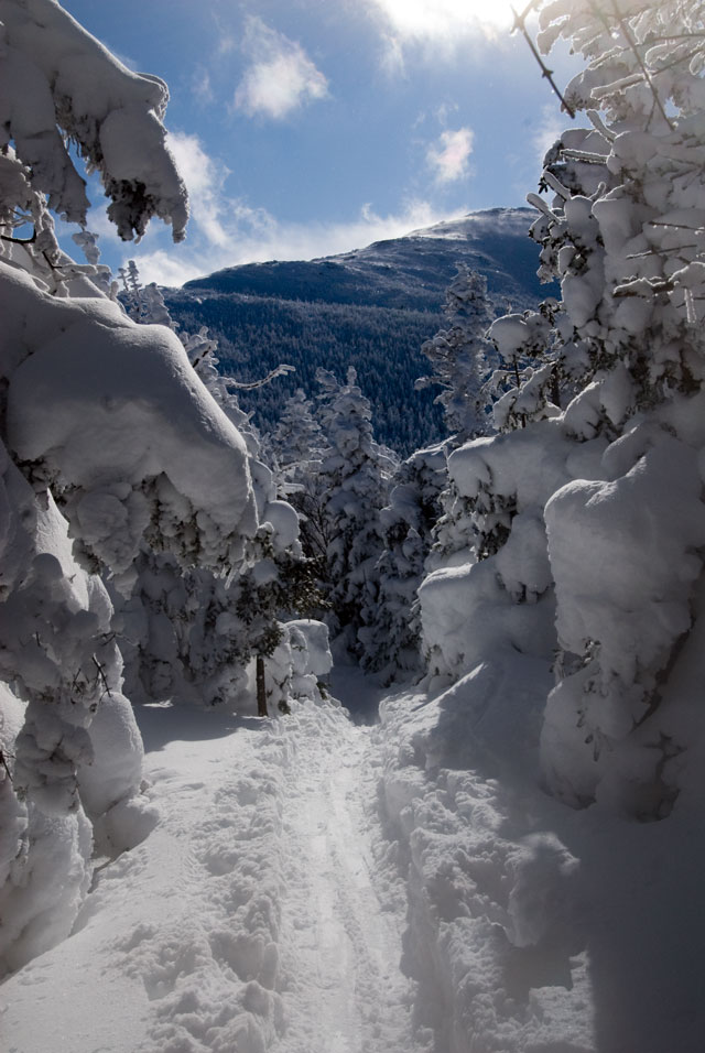 _LND6779-trail-blog