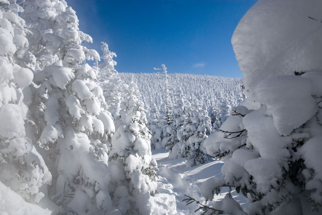 _LND6781-snow-blog