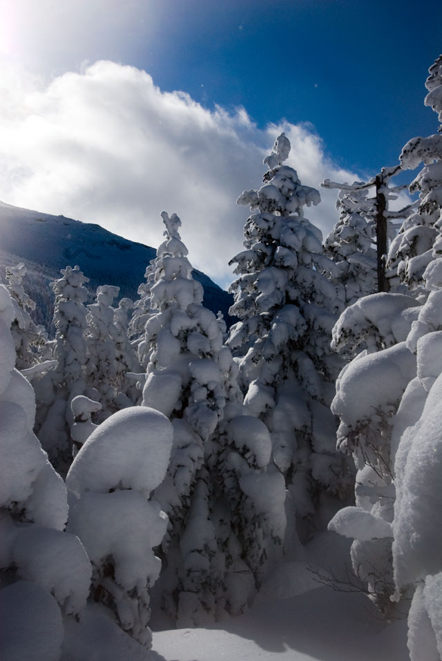 _LND6783-snow-blog
