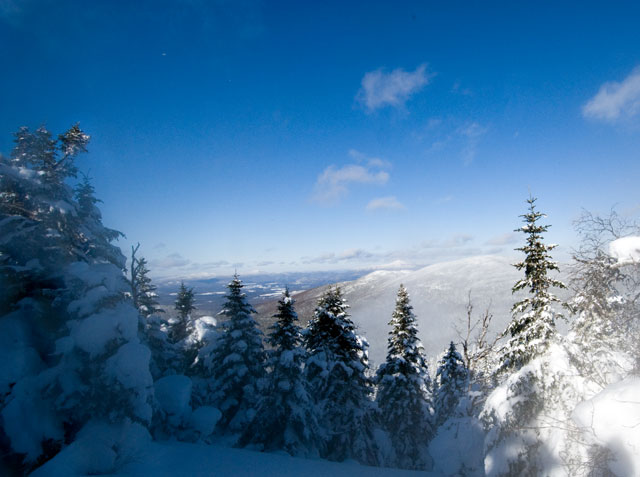 _LND6787-view-blog
