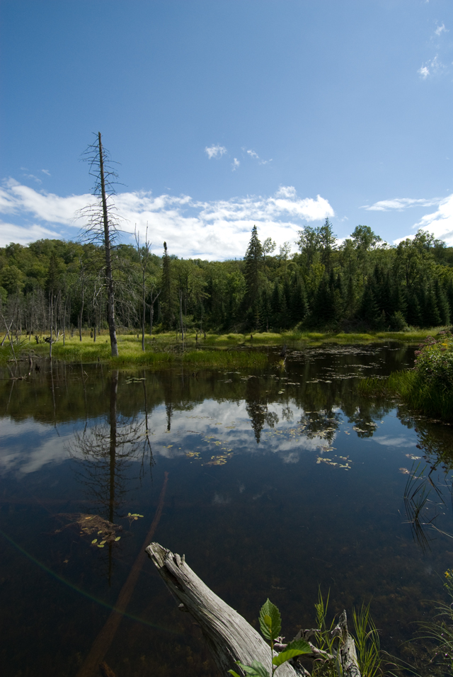 _LAN0916-Gatineau-Hills-MPT
