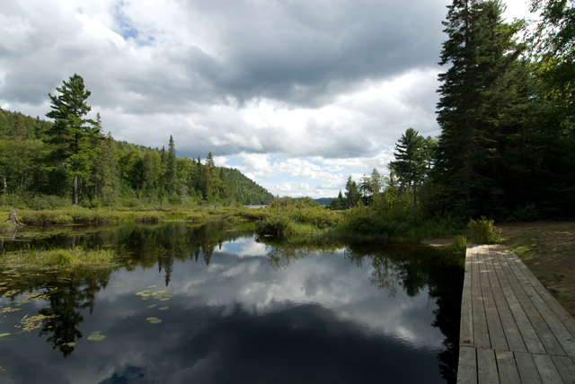 _LAN0928-Gatineau-Hills-MPT