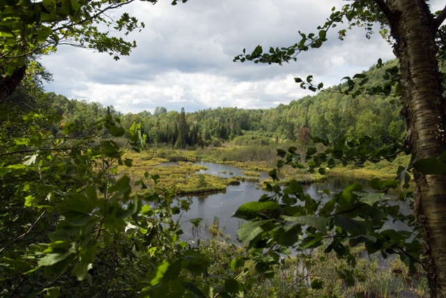 _LAN0931-Ruisseau-St-Denis