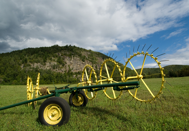 _LAN0934-Hay-Rake