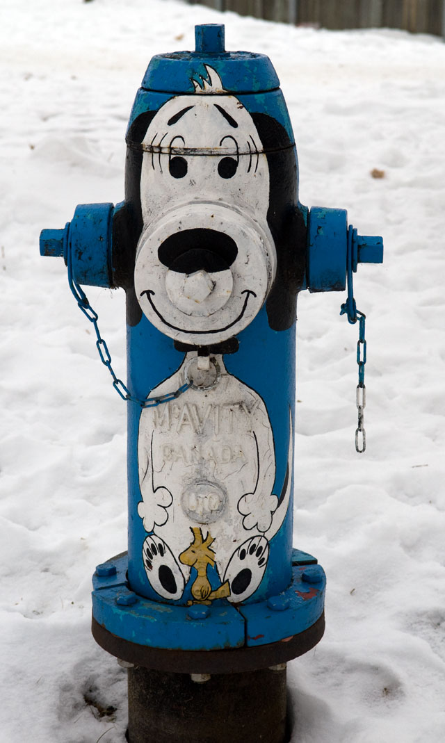 Winnipeg Fire Hydrant Art