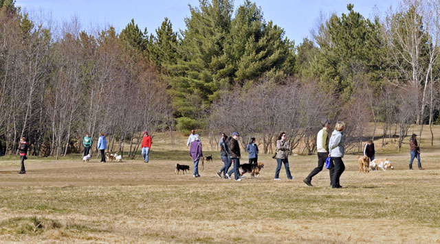 Bruce Pit Dog Park, Ottawa, Ontario | MegaPixel Travel