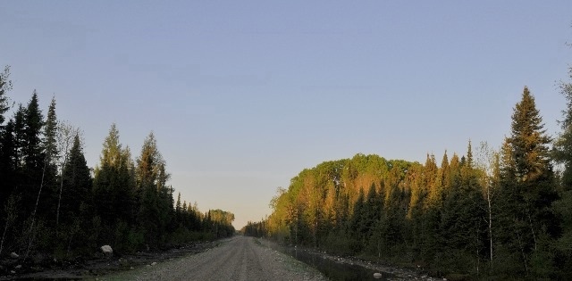 Breeding Bird Survey - Singe Lake Route 68-373