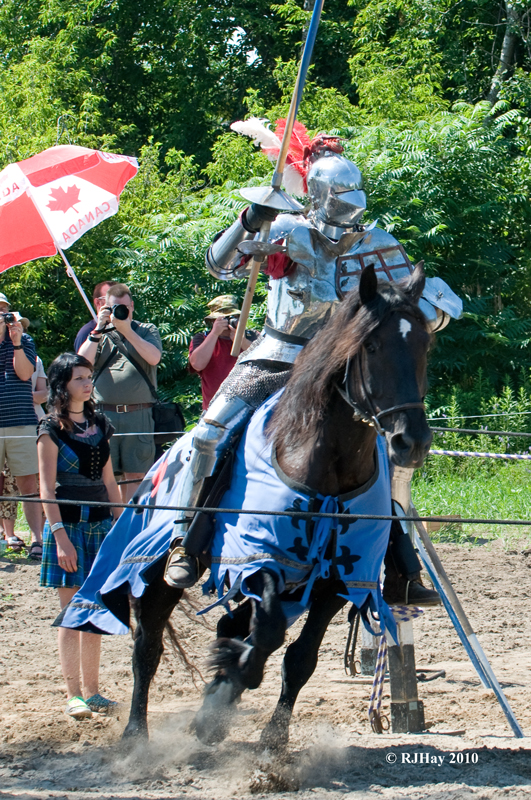 _EMG6919-horse-at-corner