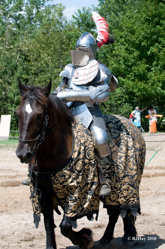 _EMG6937-Knight