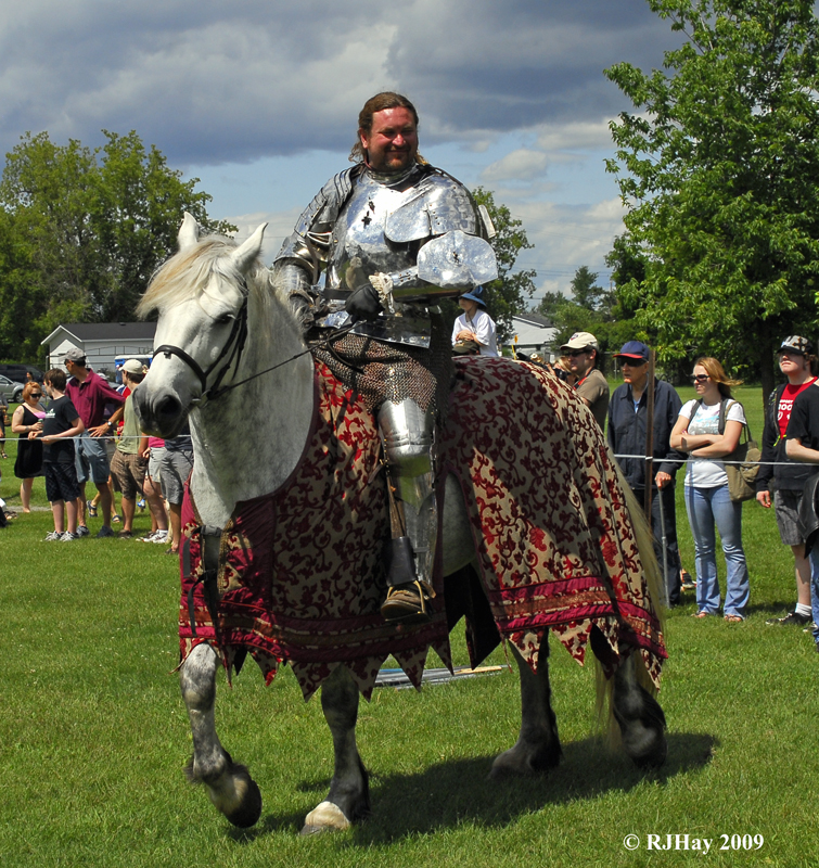 _LND1106-Knight