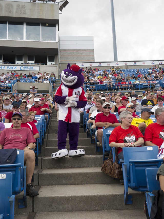 Grape the Fat Cat Mascot