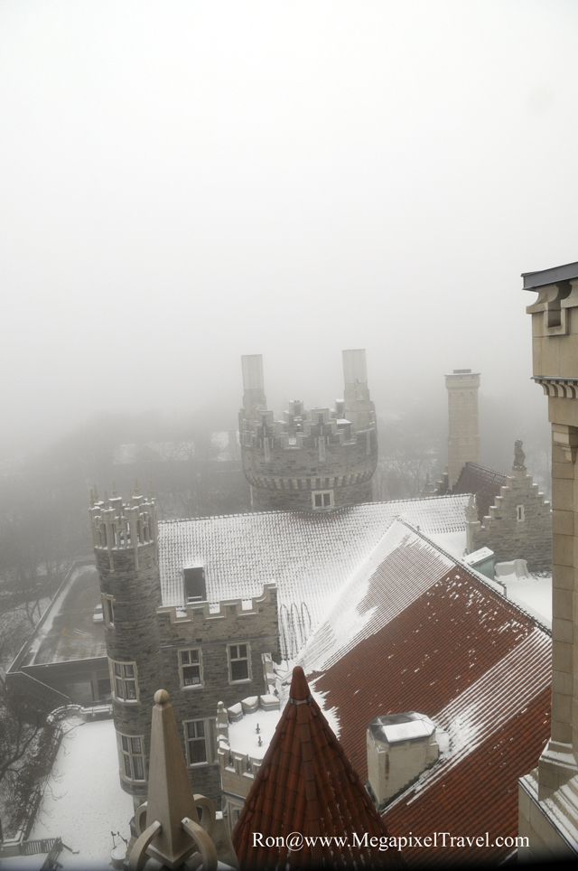 _RON5821-Castle-roof