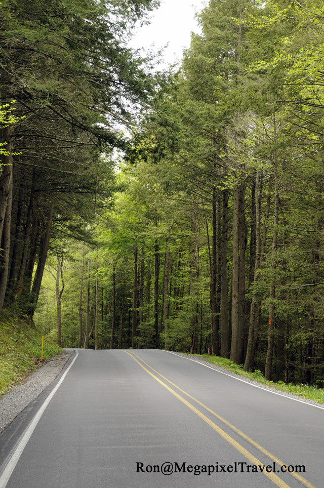 _RON9823-Highway