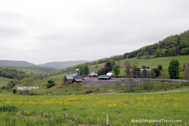_RON9827-Farm-land