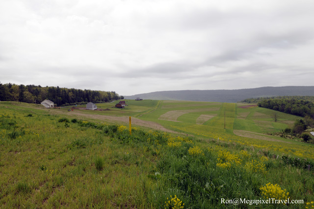 _RON9828-Farm-Land
