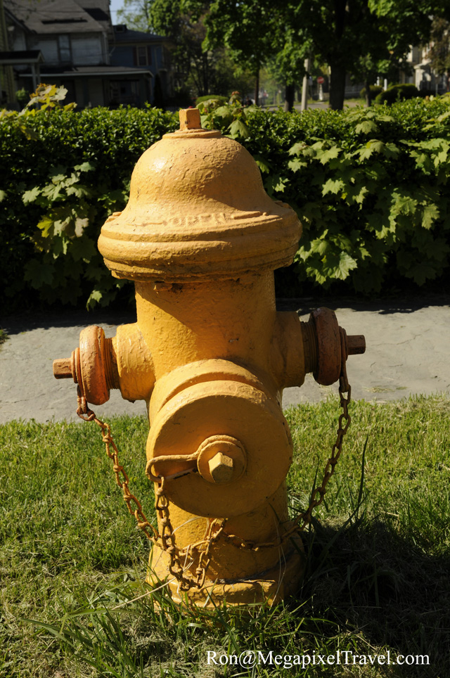 _RON9840-Elmira-Fire-Hydran