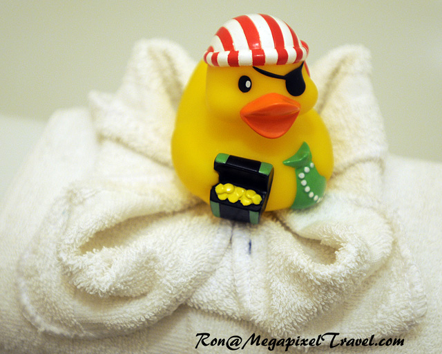 _RON1832-Decoration