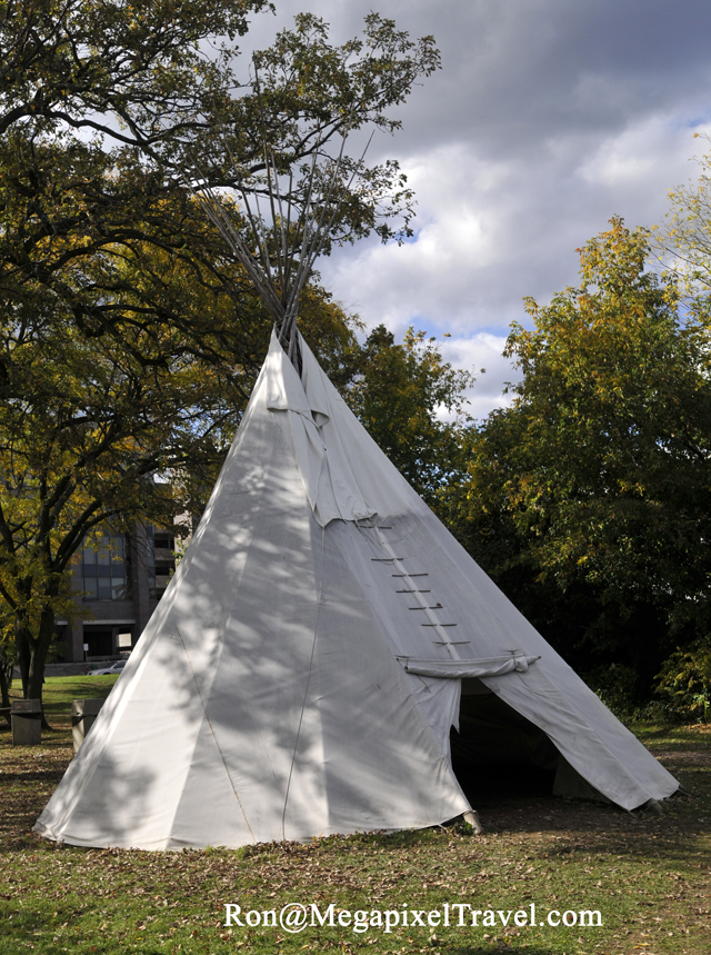 Carleton University Butterfly Exhibit 2012 starts Saturday
